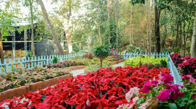 Vườn Lâm Tỳ Ni - Khu vườn linh thiêng tại chùa Thiền Tôn Phật Quang