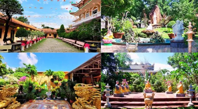 Không gian xung quanh chùa còn được phủ xanh bởi những hàng cây
