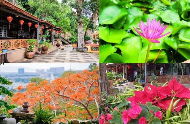 Phong cảnh hữu tình yên bình ở Chùa Quan Âm Các